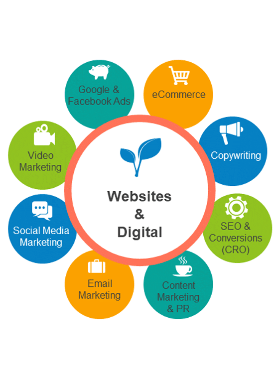 Websites & Digital Marketing Services Real Marketing